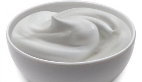 Bir porsiyonun, yaklak bir kase, bir su bardana denk gelen 200 cc olduunu dile getiren ahin, ''Erikin bir kii gn iinde yaklak yarm kilo yourt tkettiinde ihtiyac olan kalsiyum ihtiyacn karlarken, proteinin de byk bir ksmn alm olur. ocuklarn ise sabahlar st imesi zorunludur'' dedi.