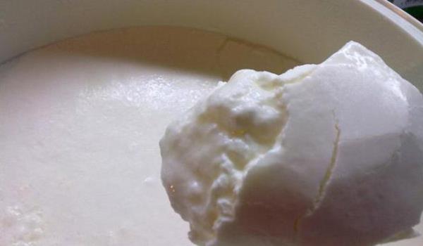 ahin, yourt tketimini her ya grubu iin nerdiklerinin altn izerek, hem diyet yapanlarn hem de salkl kiilerin gnlk 3 porsiyon yourt tketmesi gerektiini ifade etti.