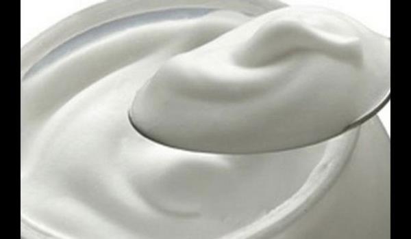 "Son yllarda birok lkede, deney hayvanlar zerinde yaplan almalarda, dzenli olarak yourt tketimi ile tmr oluumunun engellendii gzlenmitir.