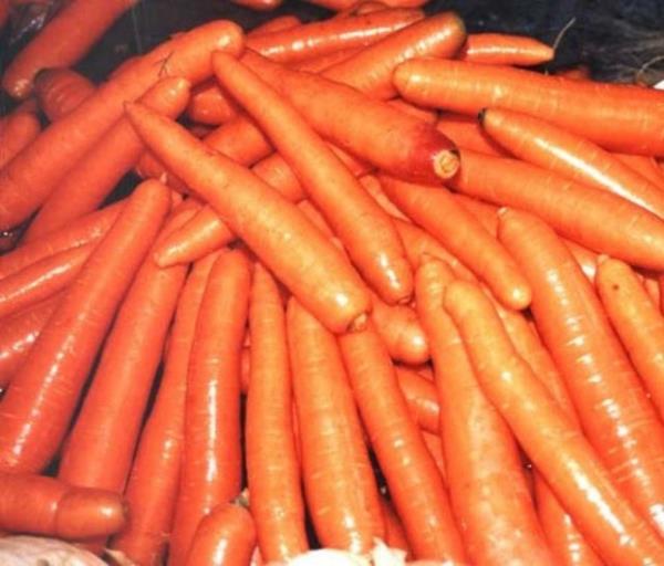 Havu: A vitamini ierii de yksek olarak bilinen havu, hem sinir sistemi, hem gz hem de cildimiz iin olduka nemli bir gdadr. Cilde parlaklk verir, nem kazanmasn salar ve yenilenmesine yardmc olur. Kabzla iyi gelir, kalp dostudur ve iltihap hastalklarnda etkilidir.