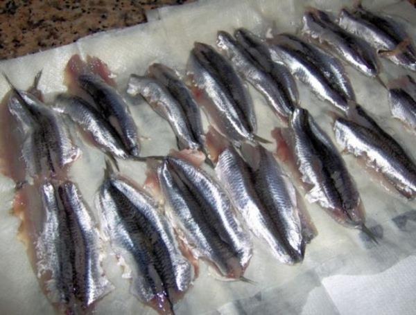Yal balklar: Balklarn en faydal yeri olan omega-3 ya asitlerini haftada iki  kez yiyerek almak mmkn. Somon, sardalye gibi balk eitleri, hcre zarn glendirdikleri gibi, kalp hastal, hipertansiyon, depresyon, eklem ars gibi rahatszlklara kar korunmaya katkda bulunuyor.
