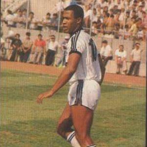 FERD - LES FERDINAND (BEKTA)