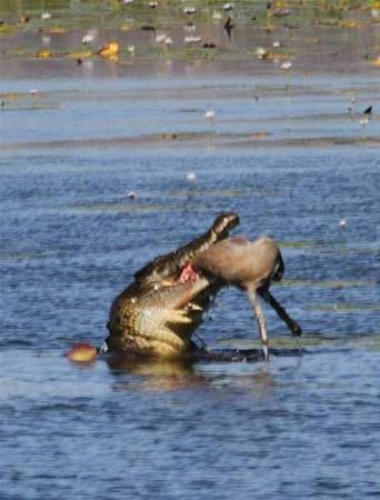 Her ey 30 saniyede oldu...