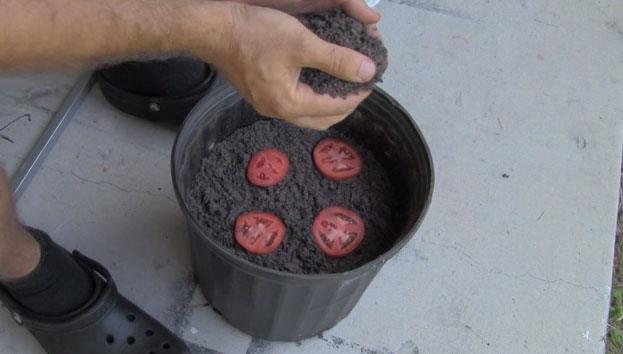 zerlerine biraz toprak atn.