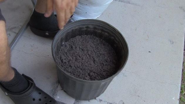 sadece bir saks, biraz toprak ve bozulmak zere olan bir domatesle nasl yeni domatesler elde edebileceimizi greceksiniz. Tabii ki doann yardm da yadsnamaz.