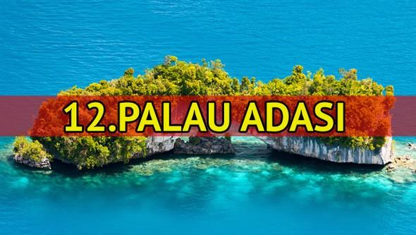 Hibir zaman ordusu olmad.