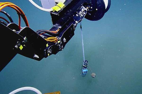 30 metre geniliinde ve 3 buuk metre derinliinde olan havuz, yzeyden 1000 metre derinlikte bulunuyor ve iine giren canllar ldrebilecek kadar younlukta tuza sahip. Fajat yaplan incelemelerde bu blgede yaayan mikrobiyal canllarn olduu da tespit edildi.