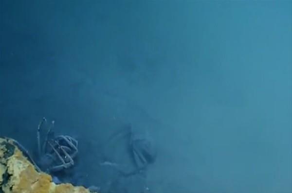 Havuza dtkten sonra len bir tr yenge.