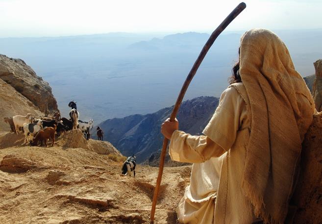 2- Filmin ranl (ii) kkenli bir yapmc tarafndan yaplmas hassasiyet gerektiriyorsa (ki katlyorum) peki ehl-i snnet devletler veya yapmclar tenkit etmekten baka ne yaptlar. Dini hassasiyeti olan TV'ler dizi halinde yaynlanan Hz. Yusuf ve Hz. Meryem filmleri de ran (ii) yapm deil miydi?