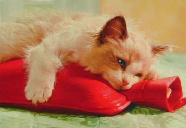 21. Scak su torbas ok ama ok gzel bir ey!