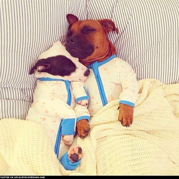 22. Eer hibir madde ie yaramazsa, scak bir kucaklama tm souu size unutturabilir