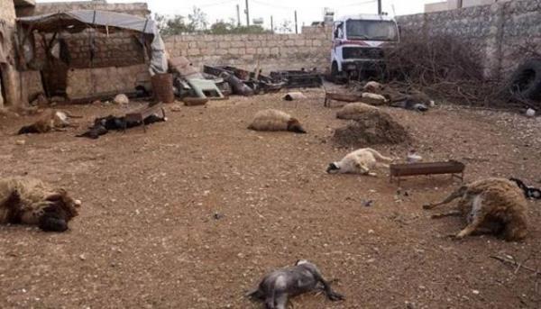 1950'lerde ABD ve Sovyetler Birlii tarafndan 'standart kimyasal silah" kabul edilen sarin gaz dzenli olarak retilmitir.