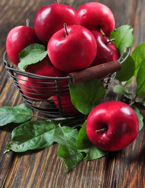 Elma, bbreklere kalkan oluturuyor    zelikle krmz elma, bbrek hastalklarnn tedavisine destek verdii gibi hastalklara yakalanmamak iin koruyucu bir kalkan grevi de stlenir. Bbrei temizler ve lif ierii ile szme ilemini en iyi ekilde gerekletirmesine yardmc olur. Gnde orta boy bir elma bbrek sal iin nemlidir.