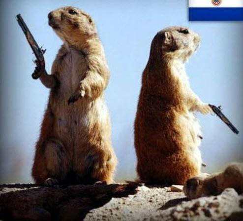 Genellikle filmlerde grdmz silahl dello Paraguay'da yasaldr!