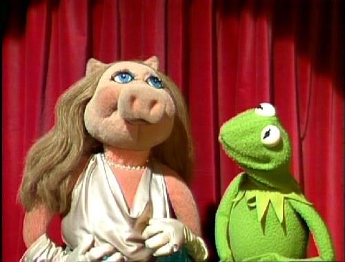 Muppet Show Suudi Arabistan'da yasaklanmtr; zira barolde bir domuz vardr.