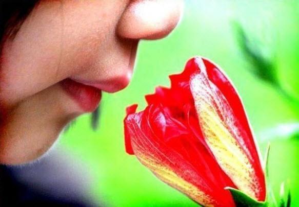 5 duyu organmz vardr; ancak bunlarn hafzaya en abuk ulaan koku alma duyumuzdur.