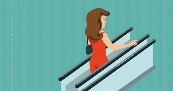 Bunun kay koyan irkete salad bir avantaj var. Bu sayede kay biraz daha geni brakabiliyorlar ve kayn deime sresi uzuyor.