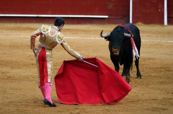 Boalar krmz renginden nefret ederler.