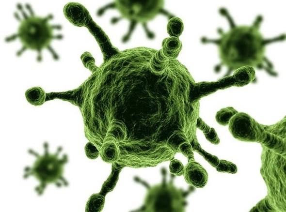 Souk algnlnn sebebi virslerdir ve antibiyotik virslere hibir ey yapamaz.