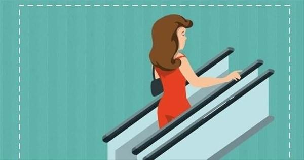 Bunun kay koyan irkete salad bir avantaj var. Bu sayede kay biraz daha geni brakabiliyorlar ve kayn deime sresi uzuyor.