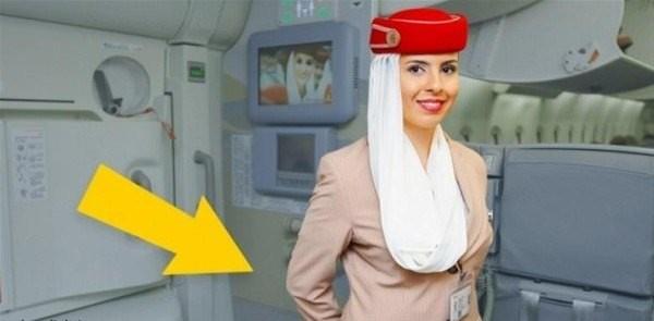 Bunun iinde bir saya kullanrlar.