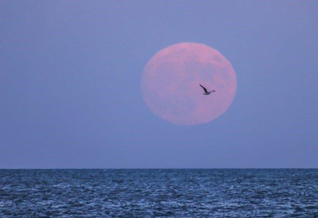 Peki Nigel Antony Gray'n kehanetinin tutmas bir ans m yoksa Sper Ay depremleri tetikliyor mu?