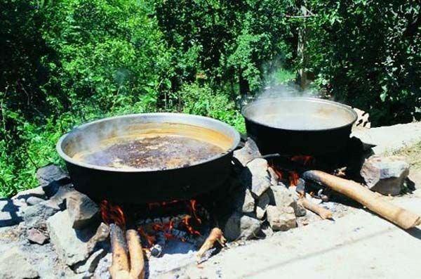 AKCER KANSERN NLER    nsanln korkulu ryas akcier kanserini%90 orannda nleme gcne sahiptir.