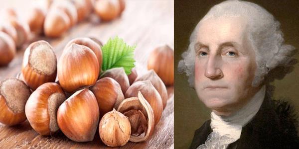 George Washington  ,    Fnd ok severdi, dileri bozulduktan sonra dondurma tutkunu haline geldi.