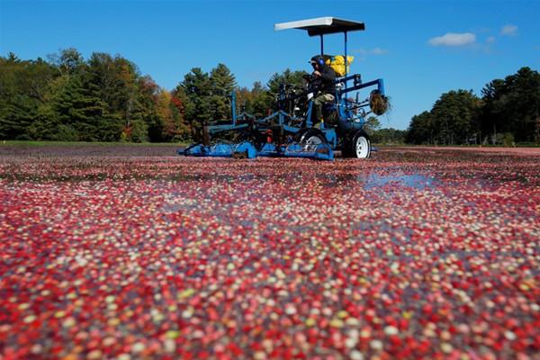 3 nesildir bu ii yapan aileyi fotoraflaf...