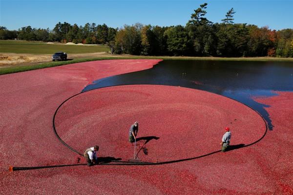 Bu fotoraf Brian Snyder tarafndan ekildi...