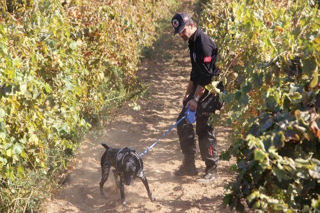 Zanl, karld mahkemece tutuklanmt.