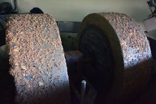 Bu rnn farkl bir lezzete sahip olduunu dile getiren Ferhatolu, zeytin stnn, E vitamini bata olmak zere vitamin ve mineralce zenginliine dikkati ekti.