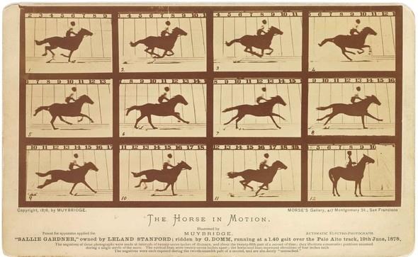 Hareket eden at -Eadweard Muybridge 1878