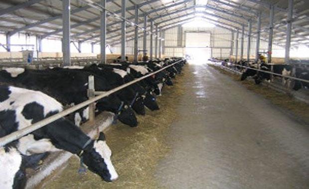 Barn: Ahr (ngilizce), ocuk (svee)