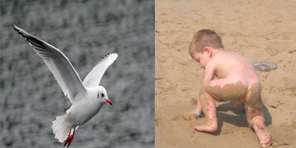 sveliler, Danimarkallar komu olmasna ramen. mas dediinizde biri marty iaret ederken dieri popoyu anlyor