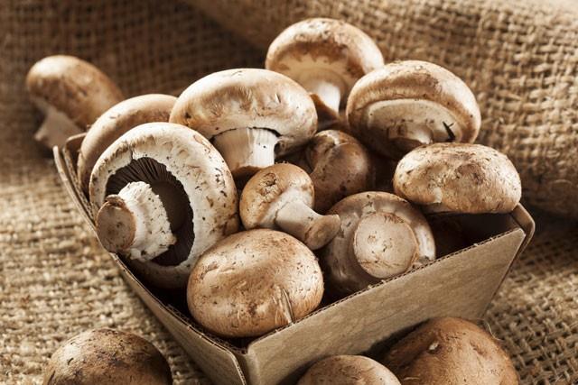 Mantar kese kadna koyun  <br>  Mantar muhafaza ederken nemin iine hapsolmasna engel olun. Bunun iin en uygun saklama yntemi kese kad. Cam ya da plastik kaplar nemin iine hapsolmasna neden olacak.