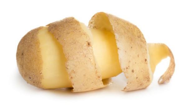 Bunun yan sra patates unu, patates ehriyesi gibi hazr gdalar kulland Sonu olarak; bir yl boyunca, btn nleri patates yiyerek geirebilir miyiz? Kim bilir? Belki de ie yaryor olabilir?