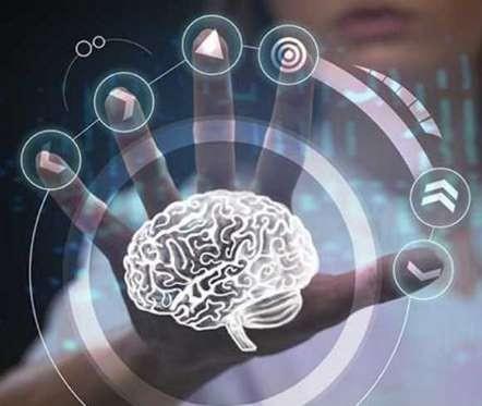 Beyin geni alan seviyor Kanazawa ve Liye gre, beynimizin tasarladklar ile gnmz artlar arasnda bir uyumsuzluk var. Nfus younluu asndan, bu u anlama geliyor: Beynimiz geni bir alanda az sayda kii ile yaamaya tasarlanm.