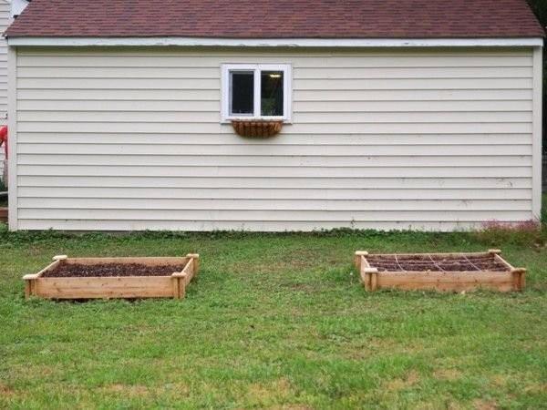 Topran altna brakacanz i yumurta, kabuu sayesinde hem mineral kayna olacak hem de yumurtann iindekiler bitkinizin kknn rmesini engelleyecek.