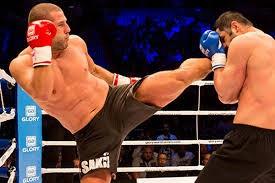 Hollanda Schiedam doumludur. Hem Hollanda hemde Trkiye vatandal bulunan Profesyonel Kick Boks sporcusudur. 1993 senesinde 10 yanda iken Muay Thai sporuna balamtr. Hollanda&#8217;da Golden Glory Gym takmnda mcadele eden Gkhan Saki 2 kez Hollanda ve Avrupa Muay Thai ampiyonuu, 2008&#8217;de dzenlenen K-1 Dnya GP 2008 Hawaii ampiyonluu yaamtr.  Gkhan Saki aslen baba tarafndan Kars&#8216;ldr. Yllar nce anne ve babas Hollanda&#8217;ya g etmitir bu nedenle Hollanda&#8217;da dnyaya gelmitir.