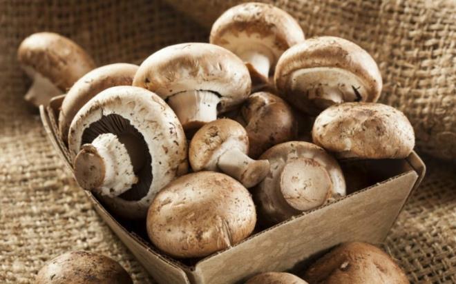 Mantarla piirin Mantarlar yksek seviyelerde protein ierirler ve gerekten ok yava sindirilirler, bu da sizi daha uzun sre tok tutmalar anlamna gelir. Ayrca kalorileri de ok dktr.