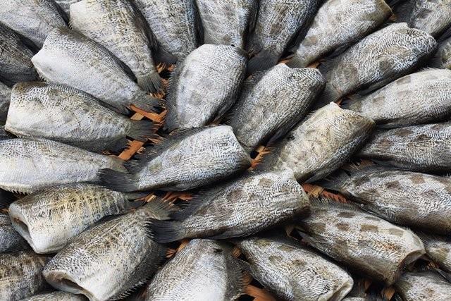 Eklemlere iyi gelir. Pulu toz haline getirip tablet yapyor ve su ile kartrarak iiyoruz. Yal insanlarn eklem arlar iin bulunmaz bir ila bu.  Ayrca kadnlarn yzn de yumuak tuttuunu eklemeliyim" dedi.