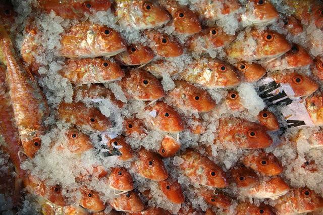 6- Yalanmayan beyin iin: Dzenli omega 3 bakmndan zengin balk tketenlerin, beyin yalanmas daha yava olmaktadr. Yetersiz balk tketenlerin ilerleyen yalarda Alzheimer ve demans gibi hastalklara yakalanma riski daha yksektir.