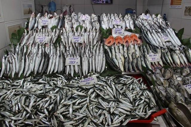 Meme, prostat ve kolon kanseri bata olmak zere birok kanser trnde, omega 3 ya asitlerinin olumlu etkisi olduu bilinmektedir.