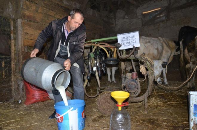 Krklareli merkeze 5 kilometre uzaklkta bulunan Karako Ky Muhtarlnca balatlan kampanya kapsamnda kyde yaayan 8 besici, 200 dolar bozduran vatandalara 5 litre inek st verecek.
