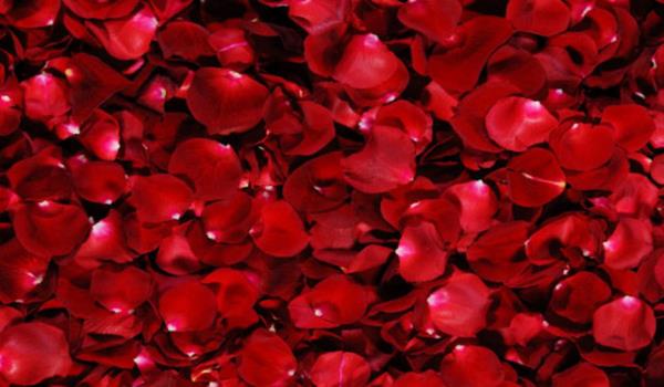 Akn ve arzunun rengidir. Krmz dolam sistemindeki kan akmn hzlandrr. ocuk eyalarnda bu tonun fazla kullanlmas, ocuklarn mutluluunu temsil etmesindendir.