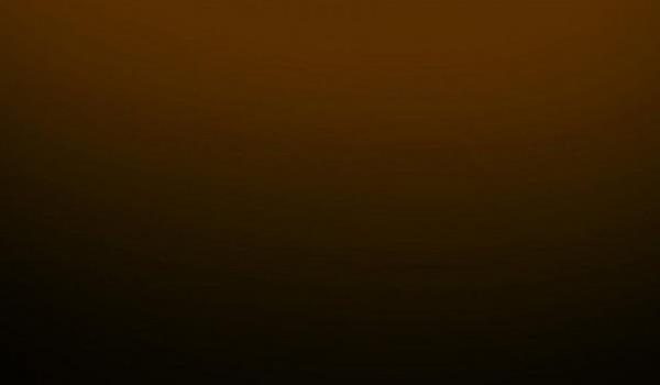 Dikkat ederseniz dnyadaki fast-food restaurantlarnn hepsinin sandalyeleri ve masalar kahverengi, duvar boyalar ise kahverengi-ampanya-pembe karmdr.