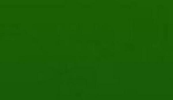 Doann ve baharn rengidir, insanlar zerindeki etkisi tartlmazdr. Yeil alanlarda insanlarn daha az mide rahatszl ektii saptanmtr.