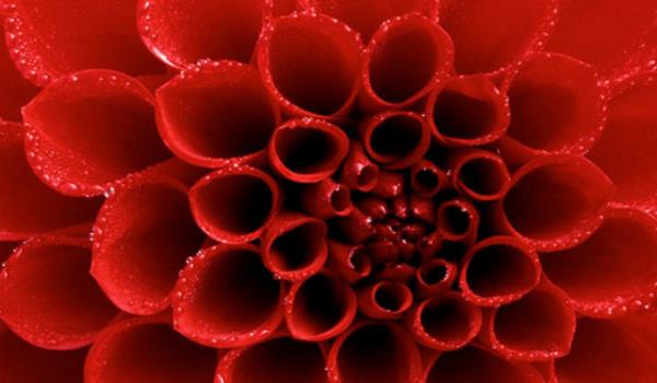 Mutluluu temsil eder ve kiinin itahn aar. Dnyadaki gda firmalarnn hepsinin logosunun krmz olduunu fark edeceksiniz.Ne kadar parlak olursa olsun, ayrca hibir renk krmz kadar dikkat ekmez.