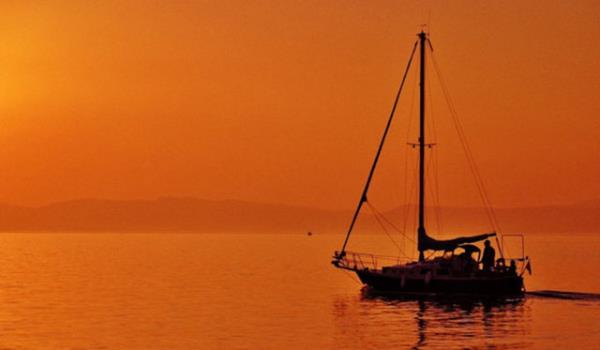 Ayrca olgunluu ve duraanlyla krmzdan daha az iddialdr ve daha ok tercih edilir.